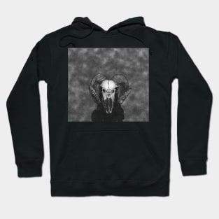 Mask Hoodie